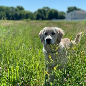 Meet your Posher, Sean